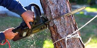 Best Leaf Removal  in East Syracuse, NY